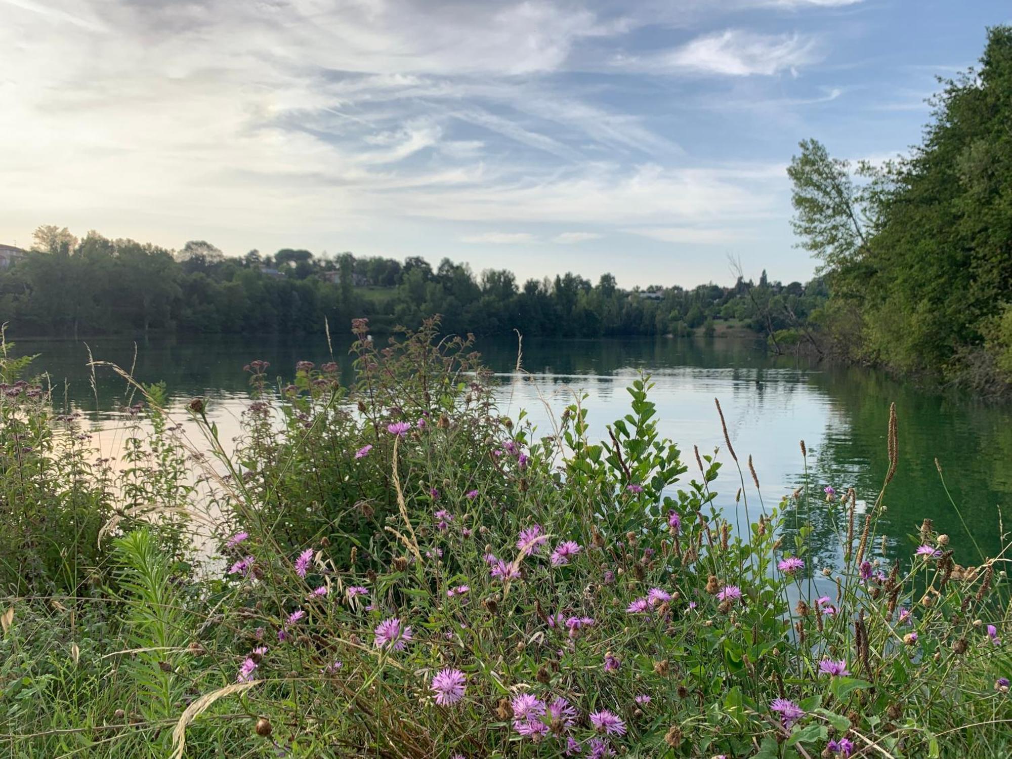 Terres De France - Les Hameaux Des Lacs Monclar-de-Quercy Buitenkant foto